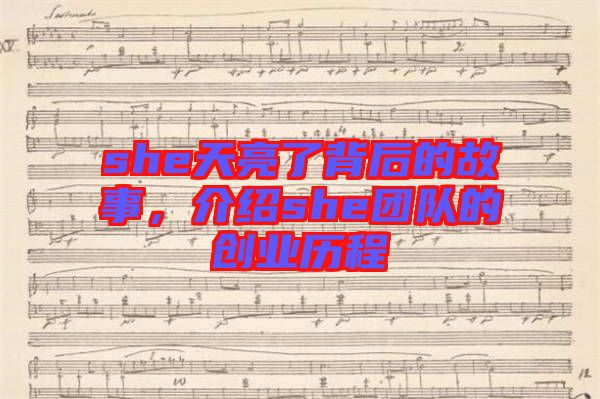 she天亮了背后的故事，介紹she團(tuán)隊(duì)的創(chuàng)業(yè)歷程