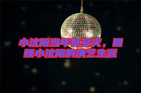 小沈陽當年有多火，回顧小沈陽的演藝生涯