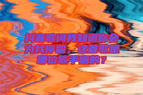 抖音歌詞我知道你會為我停留，這首歌是哪位歌手唱的？