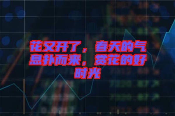 花又開(kāi)了，春天的氣息撲而來(lái)，賞花的好時(shí)光