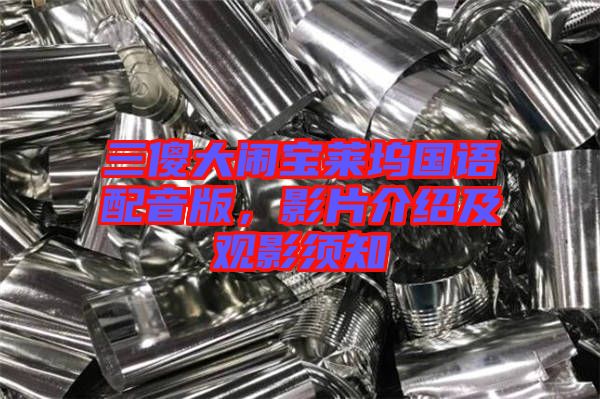 三傻大鬧寶萊塢國(guó)語(yǔ)配音版，影片介紹及觀影須知