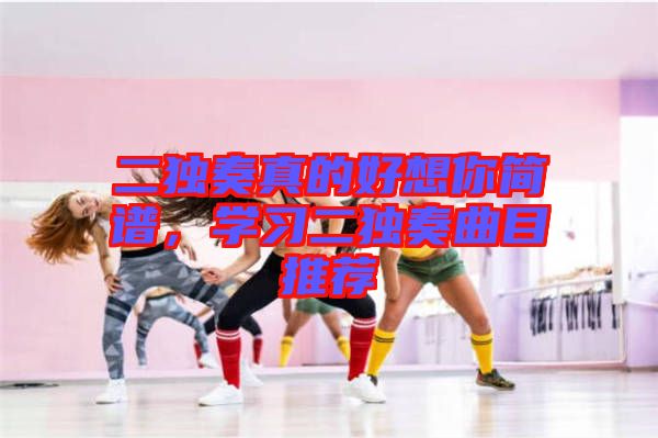 二獨(dú)奏真的好想你簡譜，學(xué)習(xí)二獨(dú)奏曲目推薦