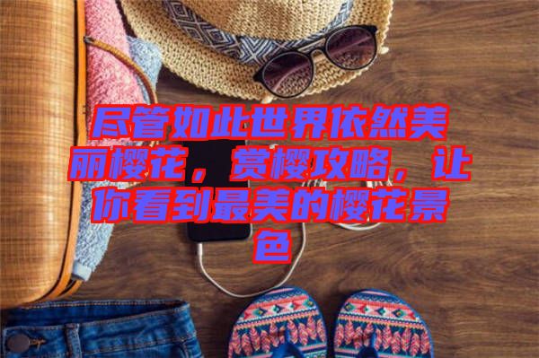 盡管如此世界依然美麗櫻花，賞櫻攻略，讓你看到最美的櫻花景色