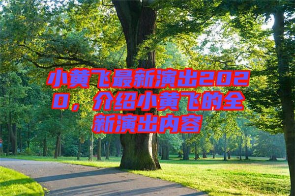 小黃飛最新演出2020，介紹小黃飛的全新演出內(nèi)容