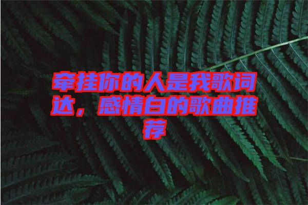 牽掛你的人是我歌詞達(dá)，感情白的歌曲推薦