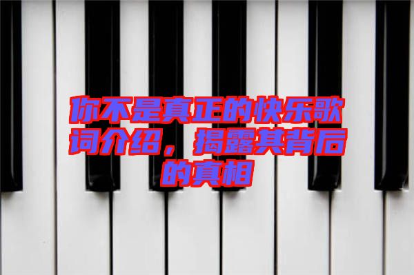 你不是真正的快樂歌詞介紹，揭露其背后的真相