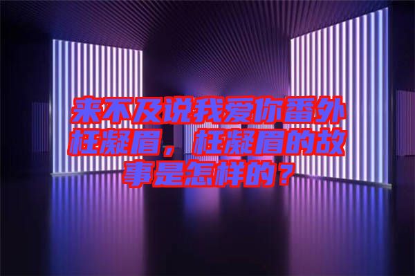 來不及說我愛你番外枉凝眉，枉凝眉的故事是怎樣的？