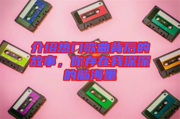介紹熱門(mén)歌曲背后的故事，你存在我深深的腦海里