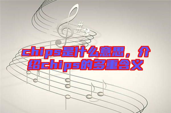 chips是什么意思，介紹chips的多重含義
