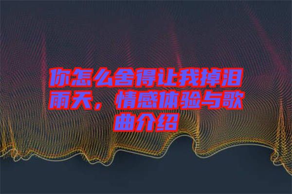 你怎么舍得讓我掉淚雨天，情感體驗(yàn)與歌曲介紹