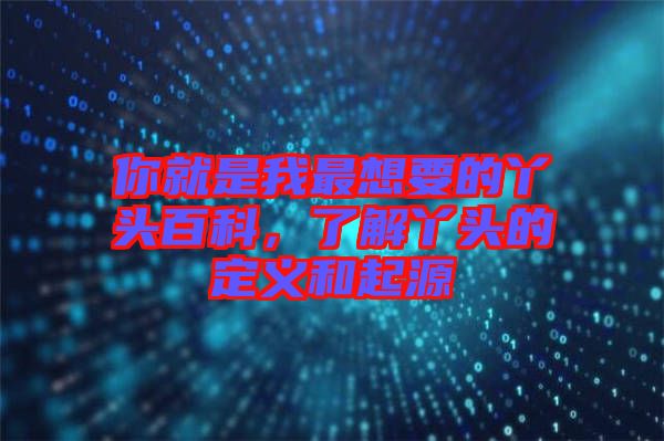 你就是我最想要的丫頭百科，了解丫頭的定義和起源