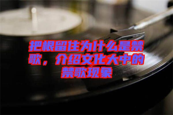 把根留住為什么是禁歌，介紹文化大中的禁歌現(xiàn)象