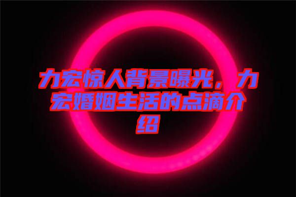 力宏驚人背景曝光，力宏婚姻生活的點(diǎn)滴介紹