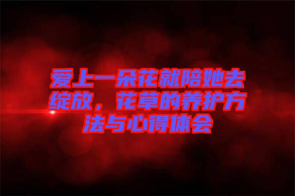 愛上一朵花就陪她去綻放，花草的養(yǎng)護(hù)方法與心得體會