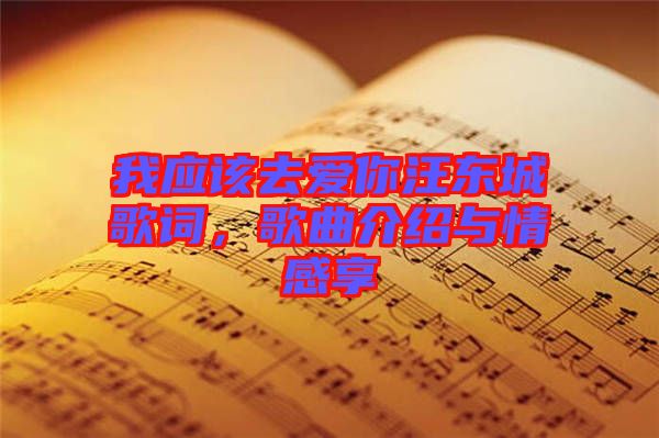 我應(yīng)該去愛你汪東城歌詞，歌曲介紹與情感享