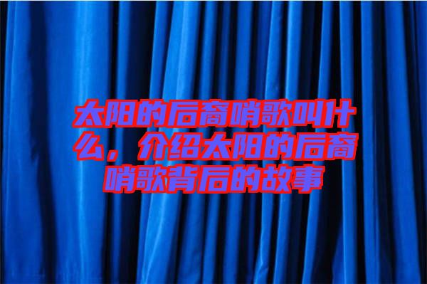 太陽(yáng)的后裔哨歌叫什么，介紹太陽(yáng)的后裔哨歌背后的故事