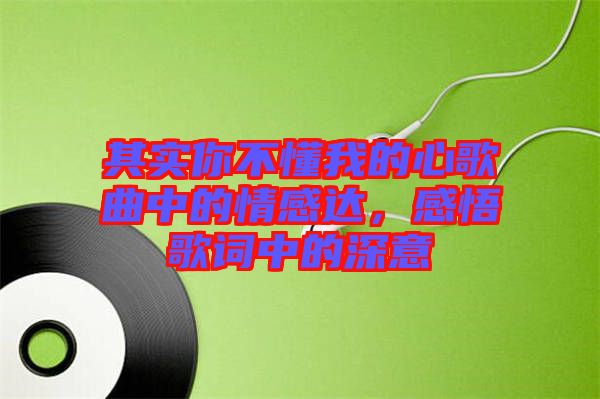 其實你不懂我的心歌曲中的情感達，感悟歌詞中的深意