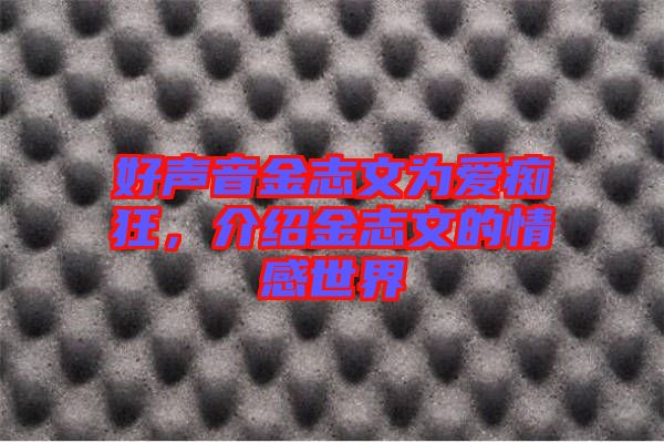 好聲音金志文為愛(ài)癡狂，介紹金志文的情感世界