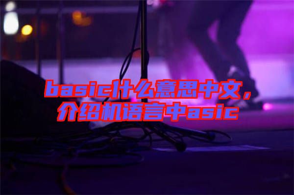 basic什么意思中文，介紹機(jī)語言中asic