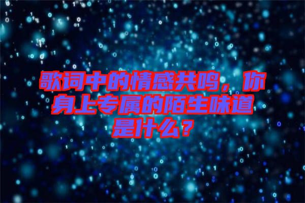 歌詞中的情感共鳴，你身上專屬的陌生味道是什么？