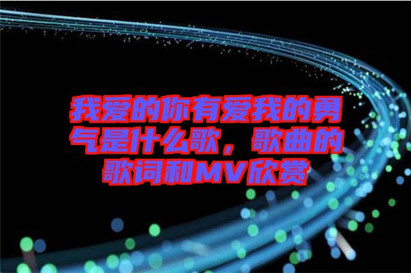 我愛的你有愛我的勇氣是什么歌，歌曲的歌詞和MV欣賞