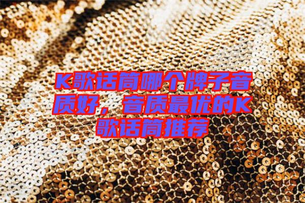 K歌話筒哪個牌子音質(zhì)好，音質(zhì)最優(yōu)的K歌話筒推薦