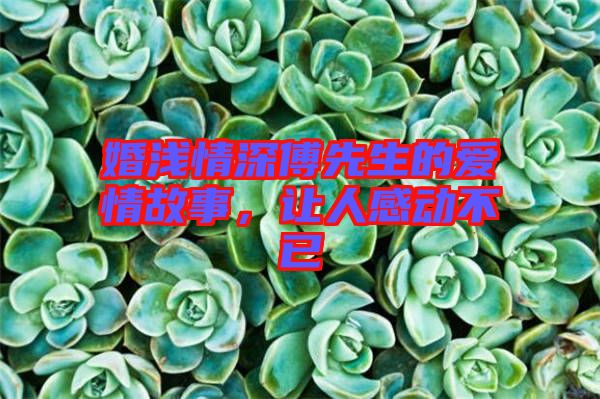 婚淺情深傅先生的愛情故事，讓人感動(dòng)不已