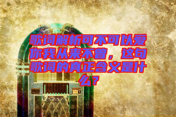 歌詞解析可不可以愛你我從來不曾，這句歌詞的真正含義是什么？
