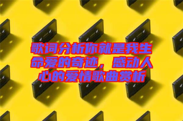 歌詞分析你就是我生命愛的奇跡，感動(dòng)人心的愛情歌曲賞析