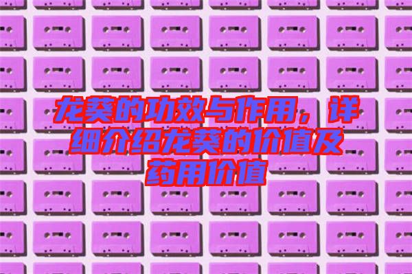 龍葵的功效與作用，詳細(xì)介紹龍葵的價(jià)值及藥用價(jià)值