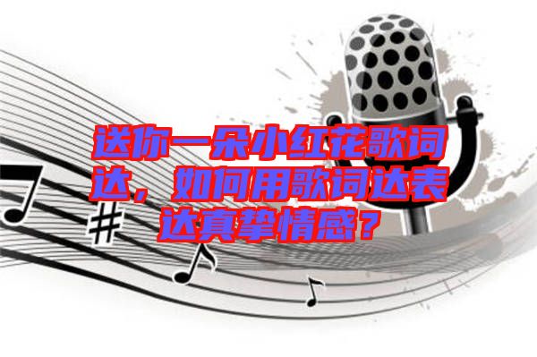 送你一朵小紅花歌詞達，如何用歌詞達表達真摯情感？