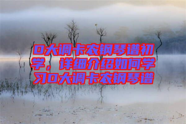 D大調(diào)卡農(nóng)鋼琴譜初學，詳細介紹如何學習D大調(diào)卡農(nóng)鋼琴譜