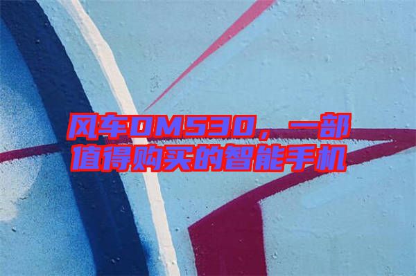 風(fēng)車DM530，一部值得購(gòu)買的智能手機(jī)