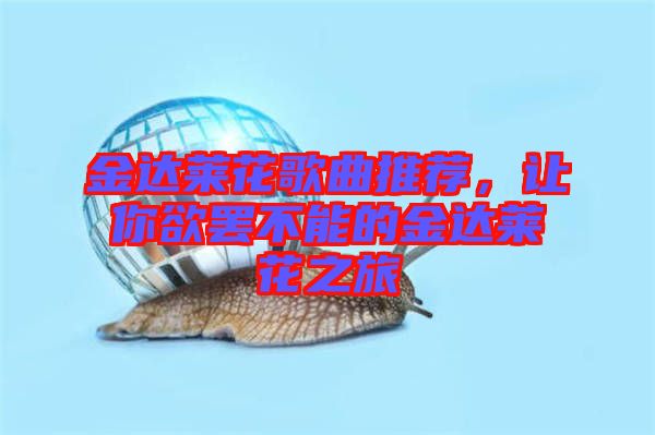 金達(dá)萊花歌曲推薦，讓你欲罷不能的金達(dá)萊花之旅