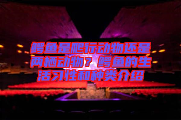 鱷魚是爬行動(dòng)物還是兩棲動(dòng)物？鱷魚的生活習(xí)性和種類介紹