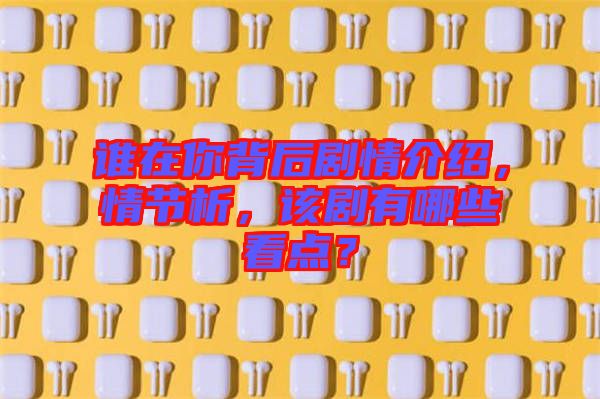 誰在你背后劇情介紹，情節(jié)析，該劇有哪些看點？