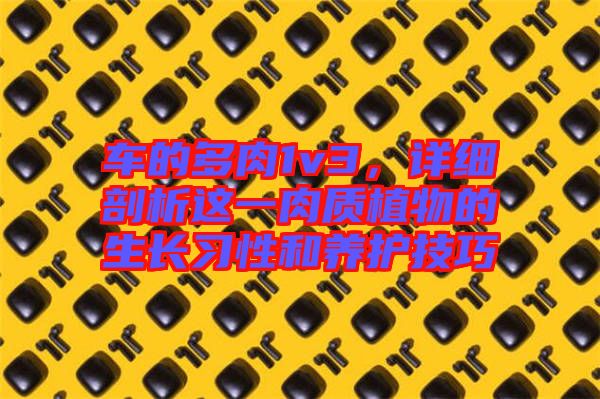 車的多肉1v3，詳細(xì)剖析這一肉質(zhì)植物的生長(zhǎng)習(xí)性和養(yǎng)護(hù)技巧