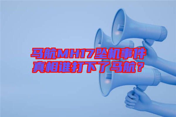 馬航MH17墜機(jī)事件真相誰打下了馬航？