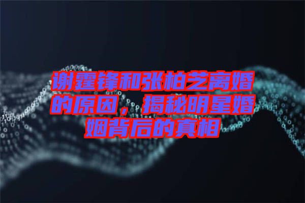 謝霆鋒和張柏芝離婚的原因，揭秘明星婚姻背后的真相