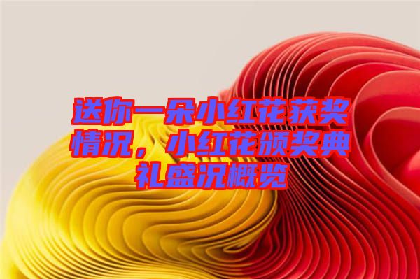 送你一朵小紅花獲獎(jiǎng)情況，小紅花頒獎(jiǎng)典禮盛況概覽