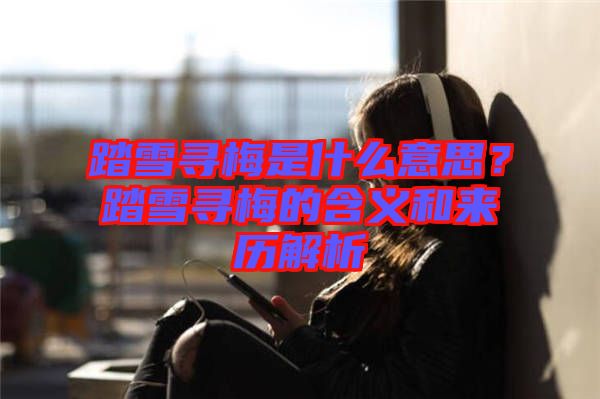 踏雪尋梅是什么意思？踏雪尋梅的含義和來歷解析