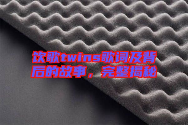 飲歌twins歌詞及背后的故事，完整揭秘