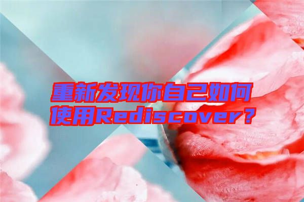 重新發(fā)現(xiàn)你自己如何使用Rediscover？