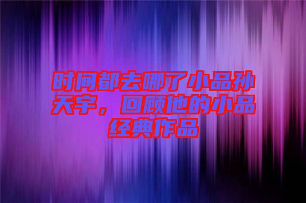 時(shí)間都去哪了小品孫天宇，回顧他的小品經(jīng)典作品