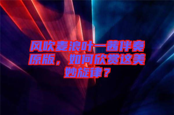 風(fēng)吹麥浪葉一茜伴奏原版，如何欣賞這美妙旋律？