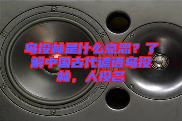 鳥投林是什么意思？了解中國古代諺語鳥投林，人投名