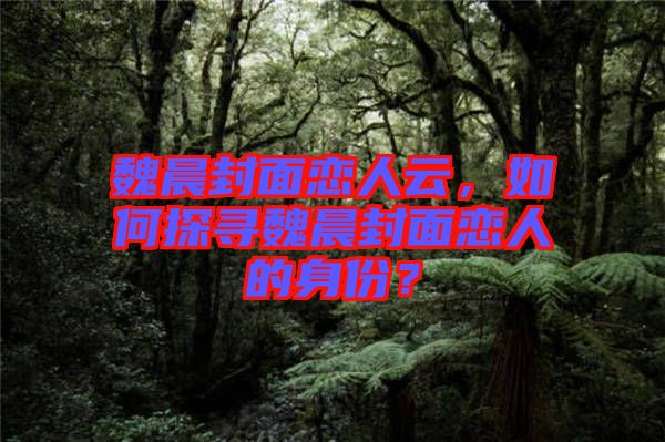 魏晨封面戀人云，如何探尋魏晨封面戀人的身份？