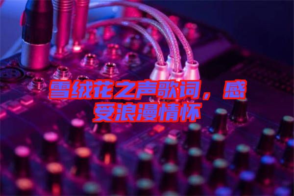 雪絨花之聲歌詞，感受浪漫情懷