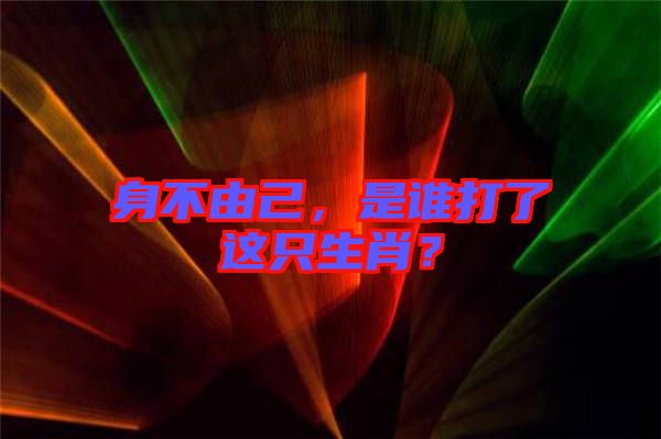 身不由己，是誰打了這只生肖？