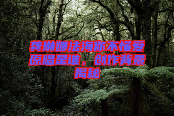 龔琳娜法海你不懂愛原唱是誰，創(chuàng)作背景揭秘
